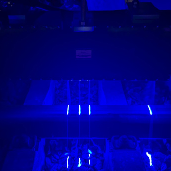 Laser System for Rail Corrugation Analysis